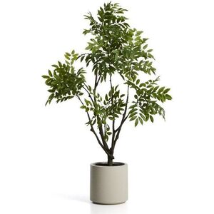 Umělá rostlina (výška 185 cm) Rhus – Kave Home obraz