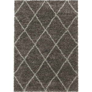 Hnědý koberec 240x340 cm Alvor – Ayyildiz Carpets obraz