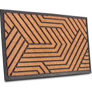 Rohožka z kokosového vlákna 45x75 cm Labyrinth – Hanse Home obraz