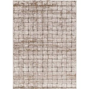 Šedobéžový koberec 160x235 cm – Universal obraz