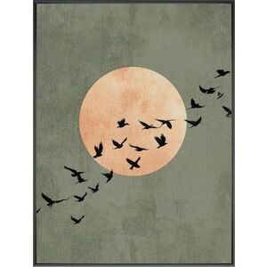 Tištěný obraz s rámem 60x80 cm Midnight Flight – Styler obraz