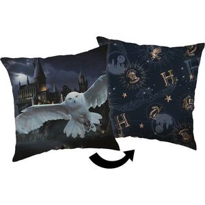 Dětský polštářek ø 40 cm Harry Potter "Hogwarts 01" – Jerry Fabrics obraz