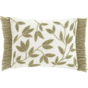 Bavlněný dekorační polštář 30x40 cm Sorrel Leaves – Catherine Lansfield obraz