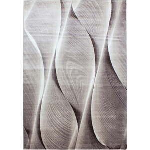 Hnědý koberec 140x200 cm Parma – Ayyildiz Carpets obraz