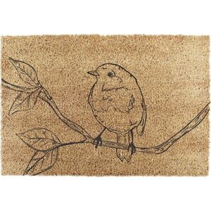 Rohožka z kokosového vlákna 40x60 cm Pencil Robin – Artsy Doormats obraz
