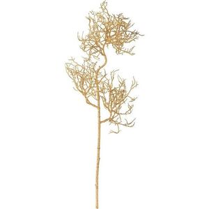 Umělá květina (výška 61 cm) Coral – Bloomingville obraz
