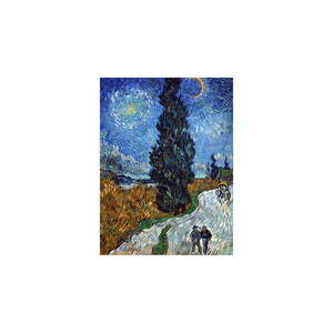 Reprodukce obrazu 45x60 cm Country road in Provence by night - Fedkolor obraz