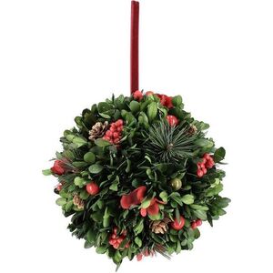 Vánoční věnec ø 17 cm Antea – Bizzotto obraz