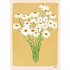 Plakát 30x40 cm Daisies – Carla Llanos – The Poster Club obraz