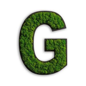 StyleGREEN MECHOVÝ OBRAZ obraz