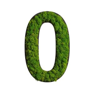 StyleGREEN MECHOVÝ OBRAZ obraz