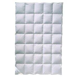 Billerbeck CELOROČNÍ PŘIKRÝVKA, 135/200 cm, kachní prachové peří, kachní peří obraz