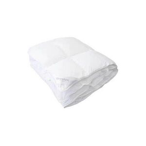 Sleeptex CELOROČNÍ PŘIKRÝVKA, 200/200 cm, polyester, duté vlákno obraz