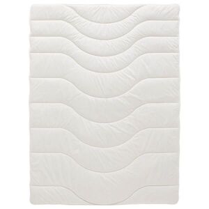 Sleeptex CELOROČNÍ PŘIKRÝVKA, 135/200 cm, polyester, lyocell, kapok obraz