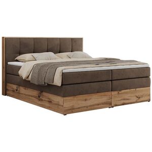 MKS POSTEL BOXSPRING ALBERO 1 KING 120/200 - Hnědá Samet - H3 obraz