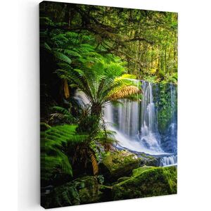 MuchoWow OBRAZ NA PLÁTNĚ Džungle - Vodopád - Austrálie - Rostliny - Příroda 60x80 cm obraz
