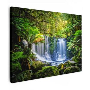 MuchoWow OBRAZ NA PLÁTNĚ Džungle - Vodopád - Austrálie - Rostliny - Příroda 80x60 cm obraz
