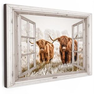 MuchoWow OBRAZ NA PLÁTNĚ Průhledné - Scottish highlander - Zvířata 60x40 cm obraz