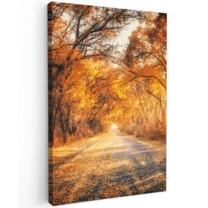 MuchoWow OBRAZ NA PLÁTNĚ Les - Podzim - Stromy - Lesní cesta - Příroda 80x120 cm obraz