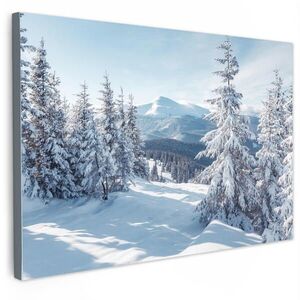 MuchoWow OBRAZ NA PLÁTNĚ Zimní krajina - Příroda - Hory - Stromy - Sníh 120x80 cm obraz