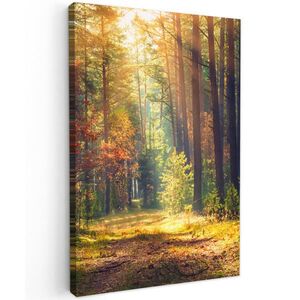 MuchoWow OBRAZ NA PLÁTNĚ Les - podzim - stromy 40x60 cm obraz