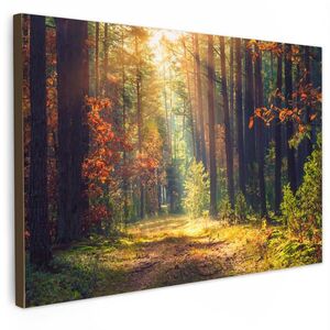 MuchoWow OBRAZ NA PLÁTNĚ Les - podzim - stromy 60x40 cm obraz