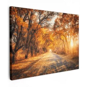 MuchoWow OBRAZ NA PLÁTNĚ Les - Podzim - Stromy - Lesní cesta - Příroda 80x60 cm obraz
