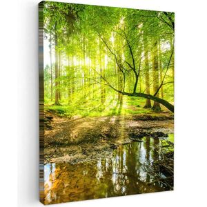 MuchoWow OBRAZ NA PLÁTNĚ Les - Krajina - Voda - Stromy - Slunce - Zeleň - Příroda 60x80 cm obraz