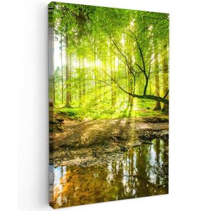 MuchoWow OBRAZ NA PLÁTNĚ Les - Krajina - Voda - Stromy - Slunce - Zeleň - Příroda 40x60 cm obraz