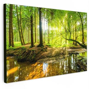 MuchoWow OBRAZ NA PLÁTNĚ Les - Krajina - Voda - Stromy - Slunce - Zeleň - Příroda 90x60 cm obraz