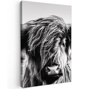 MuchoWow OBRAZ NA PLÁTNĚ Kráva - Skotský horal - Černá - Bílá - Zvíře - Příroda - Divoká zvěř 60x90 cm obraz