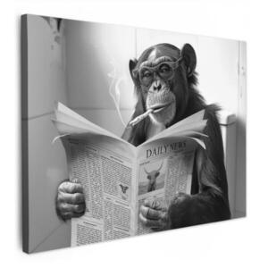 MuchoWow OBRAZ NA PLÁTNĚ Opice - WC - Noviny - Černobílé - Humor 80x60 cm obraz