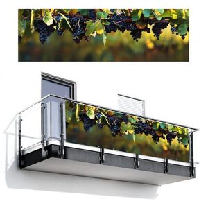 MuchoWow BALKONOVÁ ZÁSTĚNA Hrozny - Víno - Příroda - Zelená 300x95 cm obraz