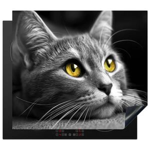 MuchoWow KRYT NA INDUKČNÍ DESKU Kočka - Grey - Zvířata - Cat 59x52 cm obraz