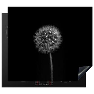MuchoWow KRYT NA INDUKČNÍ DESKU Pampeliška - černá - květinová - botanická 59x51 cm obraz