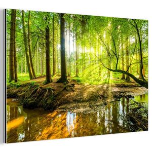 MuchoWow KOVOVÝ OBRAZ Les - Krajina - Voda - Stromy - Slunce - Zeleň - Příroda 60x40 cm obraz