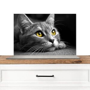 MuchoWow KUCHYŇSKÁ ZÁSTĚNA Kočka - Grey - Zvířata - Cat 60x40 cm obraz