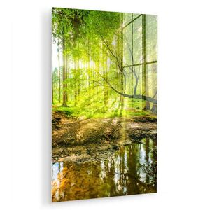 MuchoWow OBRAZ NA AKRYLOVÉM SKLE Les - Krajina - Voda - Stromy - Slunce - Zeleň - Příroda 40x60 cm obraz