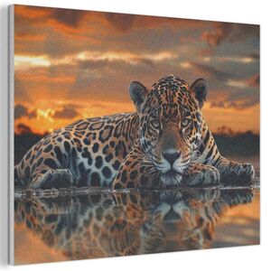 MuchoWow AKUSTICKÝ obraz Příroda - Leopard - Zvíře - Západ slunce - Moderní 100x70 cm obraz