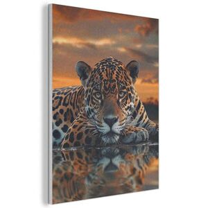 MuchoWow AKUSTICKÝ obraz Příroda - Leopard - Zvíře - Západ slunce - Moderní 70x100 cm obraz