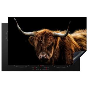 MuchoWow KRYT NA INDUKČNÍ DESKU Skotský horal - Rohy - Černá - Zvířata - Příroda - Divoká - Kráva 83x51 cm obraz