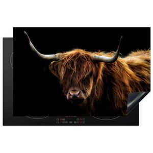 MuchoWow KRYT NA INDUKČNÍ DESKU Skotský horal - Rohy - Černá - Zvířata - Příroda - Divoká - Kráva 81.2x52 cm obraz