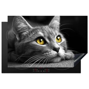 MuchoWow KRYT NA INDUKČNÍ DESKU Kočka - Grey - Zvířata - Cat 80x52.2 cm obraz