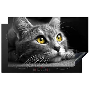 MuchoWow KRYT NA INDUKČNÍ DESKU Kočka - Grey - Zvířata - Cat 85x52 cm obraz