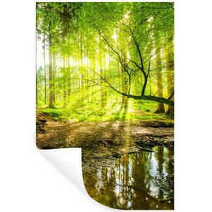 MuchoWow SAMOLEPKA NA ZEĎ Les - Krajina - Voda - Stromy - Slunce - Zeleň - Příroda 40x60 cm obraz