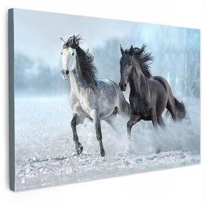 MuchoWow OBRAZ NA PLÁTNĚ Koně - Zima - Zvířata - Příroda - Sníh 90x60 cm obraz
