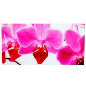 MCW SKLENĚNÝ OBRAZ ORCHIDE Multicolor obraz