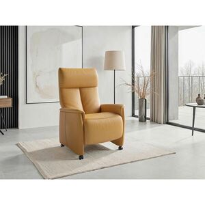 Sit & More RELAXAČNÍ KŘESLO, kůže, curry žlutá obraz