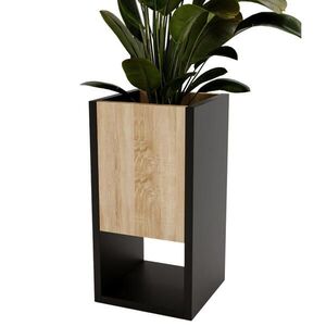 RAUMHIRSCH FURNITURE KVĚTINOVÝ ZÁHON obraz