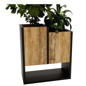 RAUMHIRSCH FURNITURE KVĚTINOVÝ ZÁHON obraz